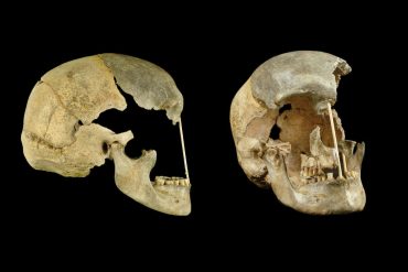 Study Reveals Oldest Homo Sapiens DNA, Offering New Insights into Interbreeding with Neanderthals