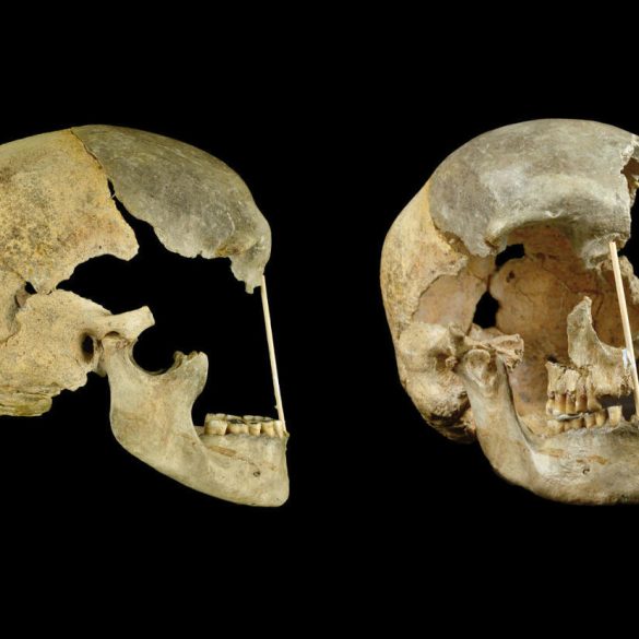 Study Reveals Oldest Homo Sapiens DNA, Offering New Insights into Interbreeding with Neanderthals