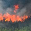 Study Reveals Canadian Wildfires Released More Greenhouse Gases Than Major Nations in 2023