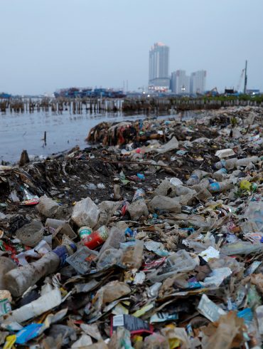 Australia Faces Plastic Pollution Crisis Amid Surge in Single-Use Waste and Recycling Challenges