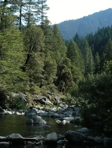 California Increases Fines for Illegal Water Diversions to Combat Scarcity and Protect Ecosystems