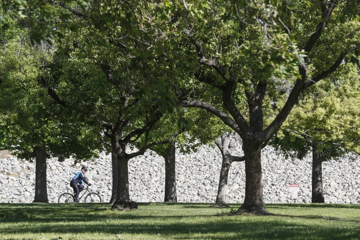 Cities Combat Rising Temperatures with Tree Planting and Green Spaces to Tackle Urban Heat