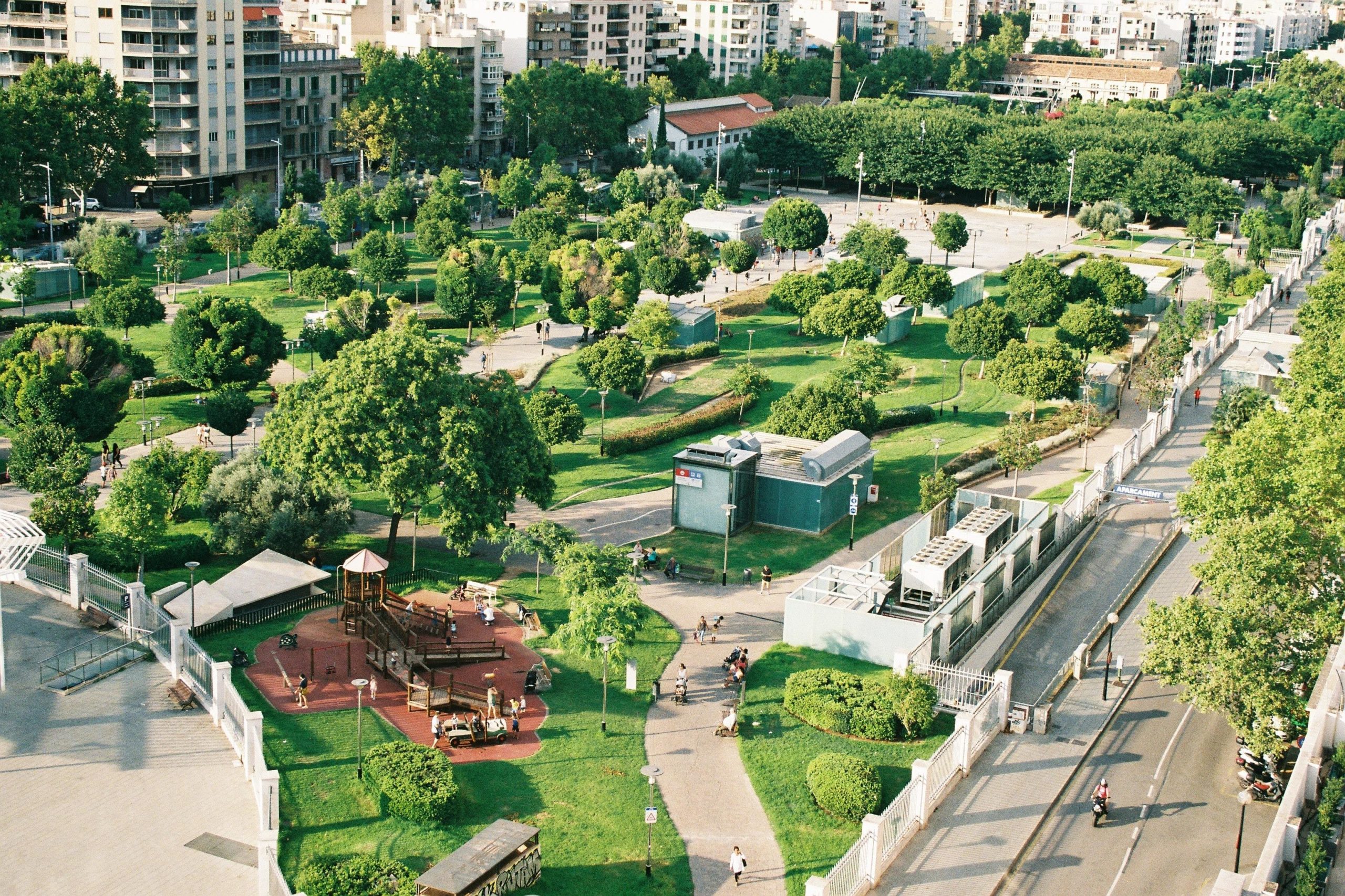 Cities Combat Rising Temperatures with Tree Planting and Green Spaces to Tackle Urban Heat