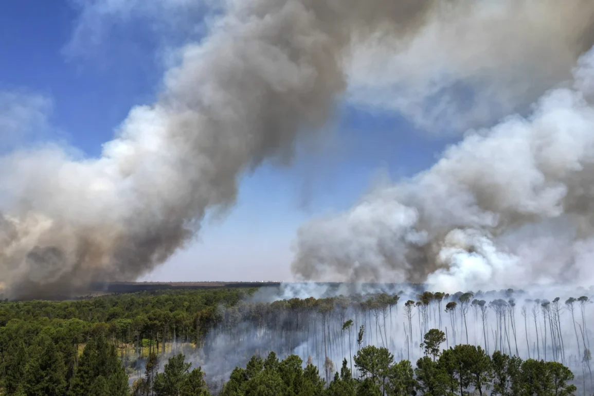 Lula Urges Action Amid Brazil's Worst Drought in Decades, as Fires Ravage Amazon and Ecosystems