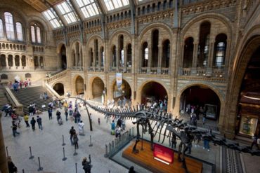 Natural History Museum in London Launches Major Initiative to Combat Climate Crisis and Inspire Environmental Advocacy