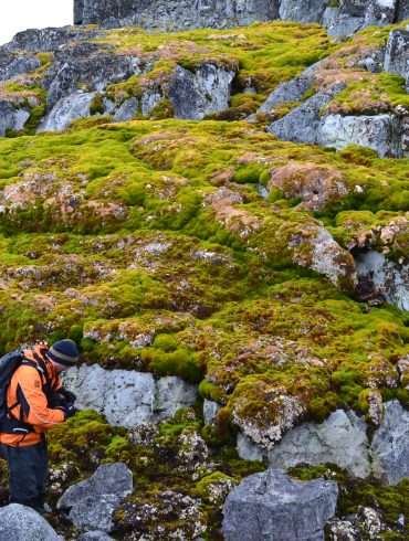 Antarctic Peninsula Experiences Dramatic Greening Due to Accelerated Warming and Climate Change