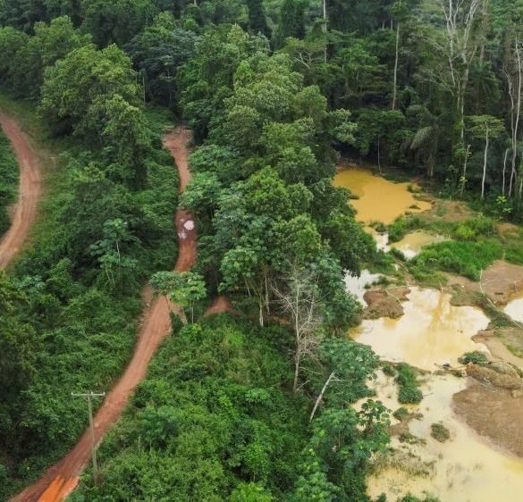 Artist Uses Polluted River Water to Highlight the Ecological Crisis of Illegal Gold Mining in Ghana