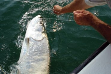 Captain Todd Romine Recalls Fishing’s Golden Days Amid Quiet Bays and Lingering Storm Impacts