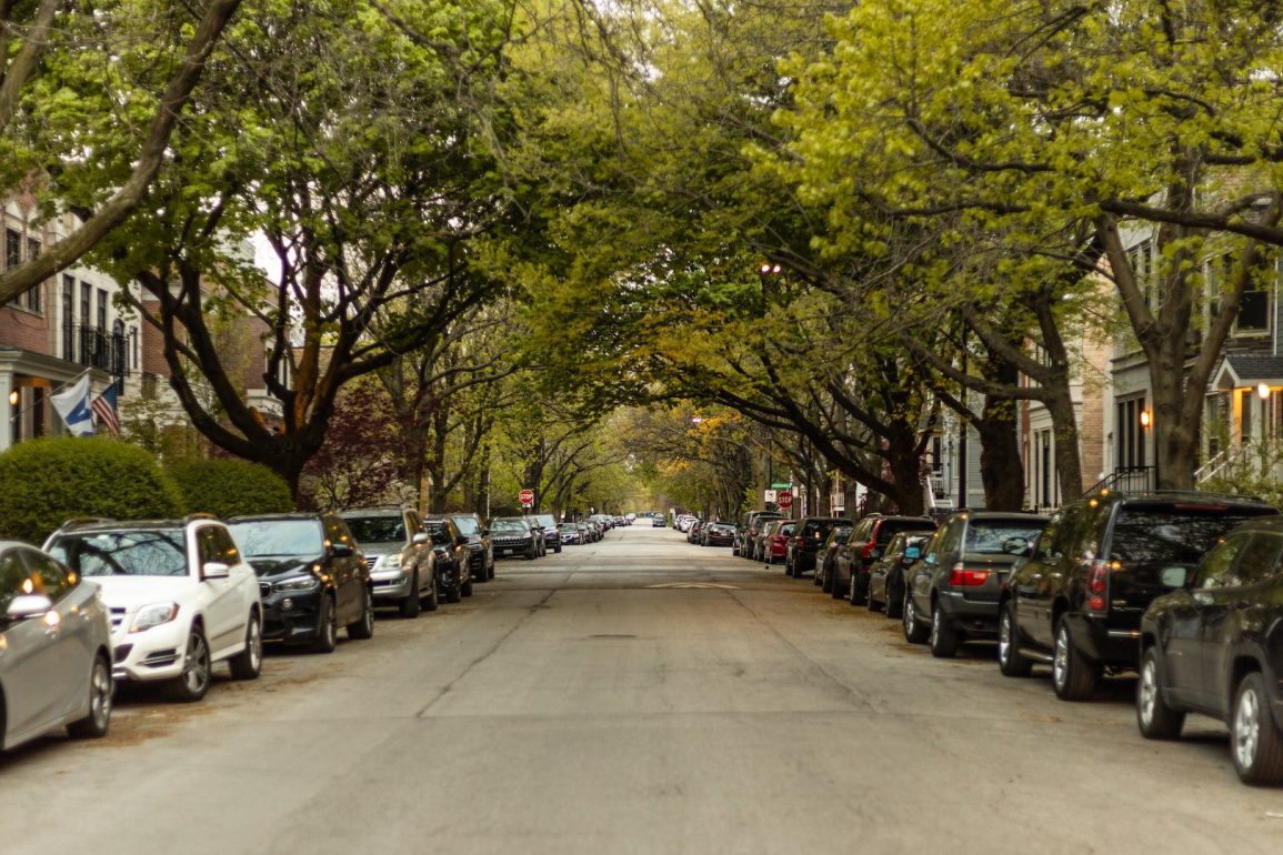 City Plans to Remove Dead Trees in Cherry Street Parking Lot Amid Urban Redevelopment and Environmental Concerns