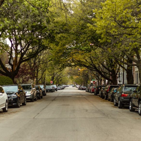 City Plans to Remove Dead Trees in Cherry Street Parking Lot Amid Urban Redevelopment and Environmental Concerns