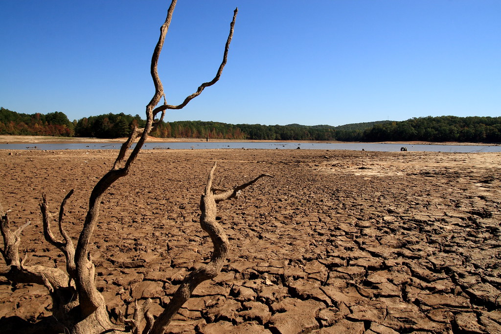 Climate Crisis Poses Unprecedented Health Risks, Reveals Lancet Countdown's Urgent Report