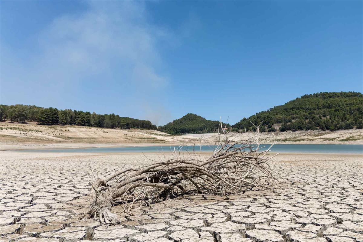 Europe's Surface Water Crisis as Only One-Third Achieves Good Health Amidst Agricultural Pollution and Regulatory Stagnation