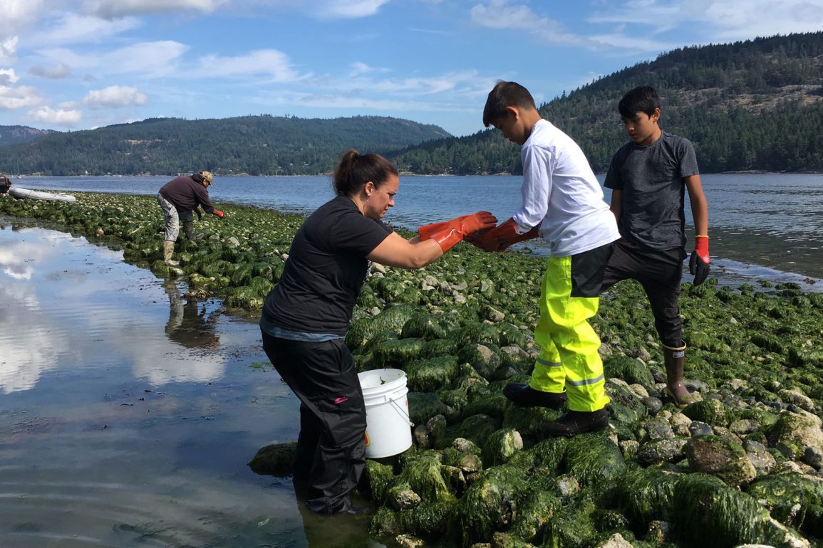 Indigenous Tribes Showcase Resilience and Solutions to Climate Crisis Through Wetland Restoration and Traditional Knowledge