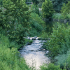 Initiative Transforms 150 Acres in Gover Ranch into Native Habitat, Reviving Ecosystems and Honoring Cultural Heritage