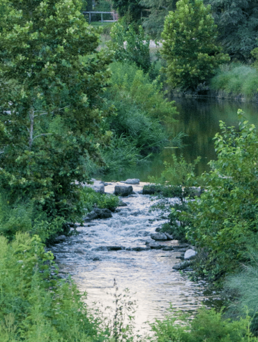 Initiative Transforms 150 Acres in Gover Ranch into Native Habitat, Reviving Ecosystems and Honoring Cultural Heritage