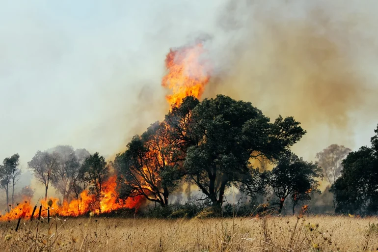 New Climate Report Warns of Unprecedented Environmental Extremes, Urging Immediate Action to Prevent Global Catastrophe