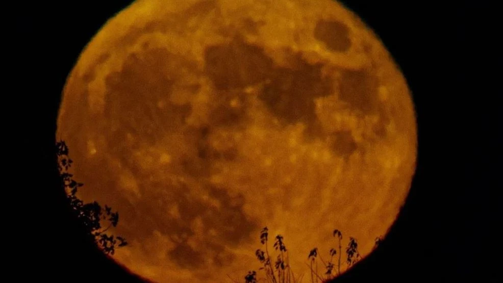 October’s Hunter’s Moon Set to Shine as 2024’s Closest and Largest