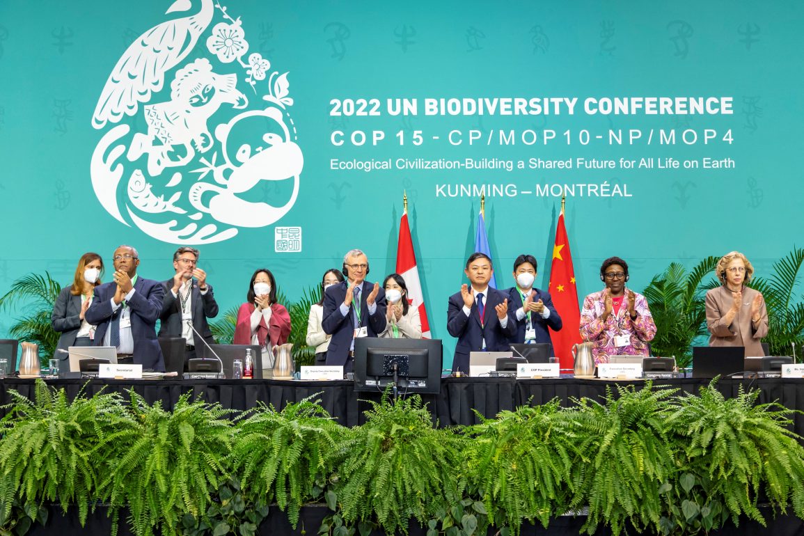 Slow Action on Cop15 Biodiversity Goals Risks Another Global Conservation Failure, Experts Warn