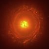 Astronomers Capture Rare View of WOH G64 Revealing Red Supergiant Near Supernova