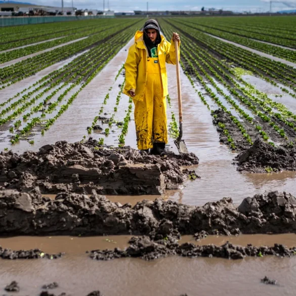 California Farmworker Communities Struggle as Flood Relief Funds Remain Tied Up Nearly Two Years Later