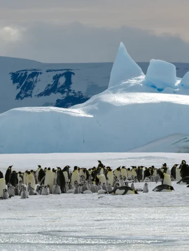 China and Russia Join Forces to Undermine Antarctic Conservation Efforts and Protect Marine Ecosystems