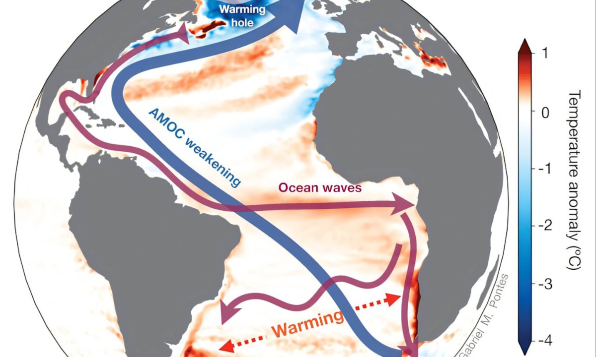 Critical Ocean Conveyor Belt Weakens, Threatening Global Climate Stability and Ecosystems