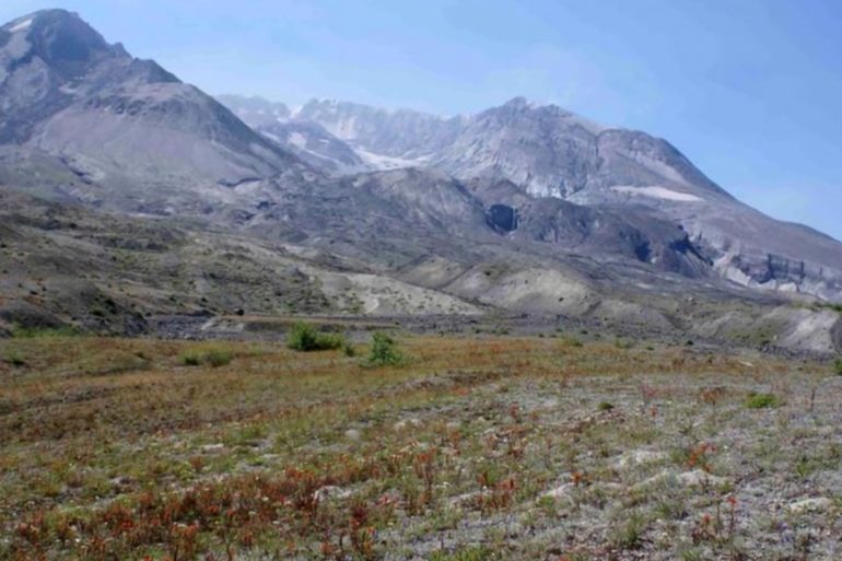 Gophers Revive Mount St. Helens How Unorthodox Science Transformed a Volcanic Wasteland