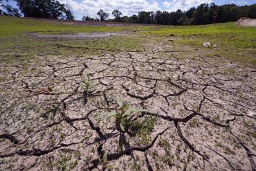 Northeast Faces Growing Water Crisis Amid Drought and Record Dry Spells, Experts Call for Urgent Action