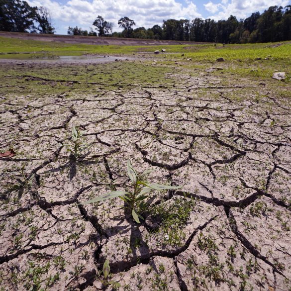 Northeast Faces Growing Water Crisis Amid Drought and Record Dry Spells, Experts Call for Urgent Action