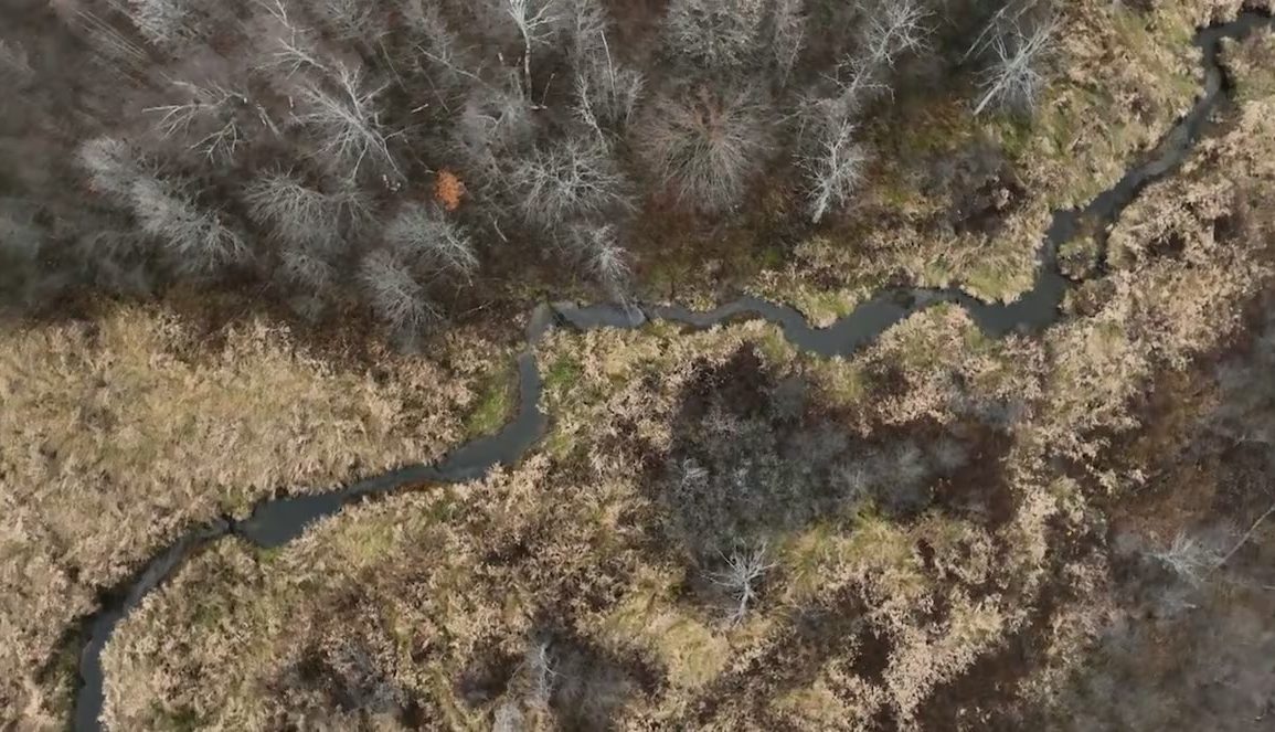 Ottawa Safeguards 561 Hectares of Wetland Near Tewin Development, Preserving Key Ecological Habitat