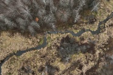 Ottawa Safeguards 561 Hectares of Wetland Near Tewin Development, Preserving Key Ecological Habitat