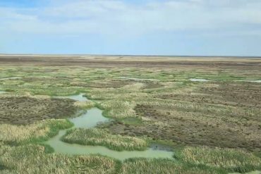 Significant Drying of Murrumbidgee River Threatens Floodplain Ecosystems and Cultural Heritage in Australia