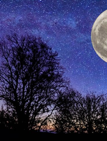 Year’s Last Supermoon to Light Up the Sky This Week, Outshining November’s Meteor Showers