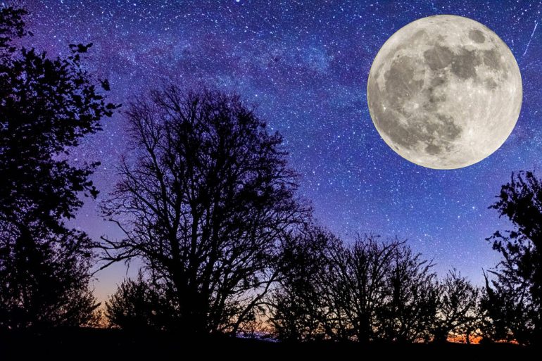 Year’s Last Supermoon to Light Up the Sky This Week, Outshining November’s Meteor Showers