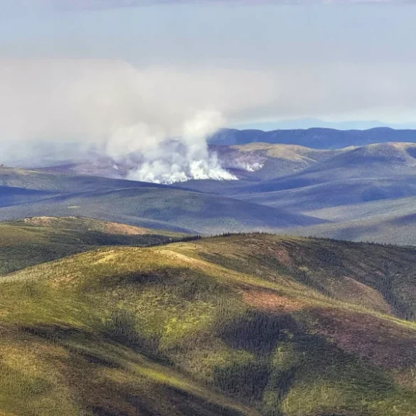 Arctic Tundra Becomes Carbon Source as Warming and Wildfires Trigger Alarming Climate Feedback Loops