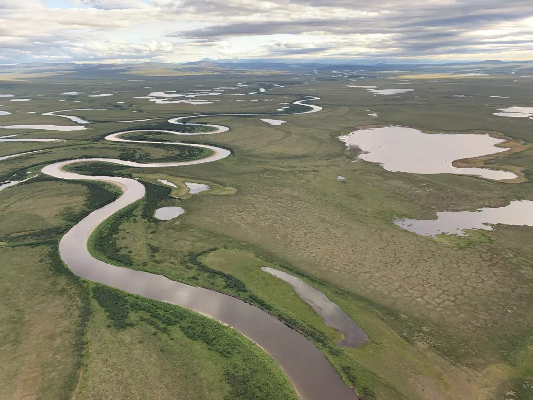 Arctic Tundra Becomes Carbon Source as Warming and Wildfires Trigger Alarming Climate Feedback Loops