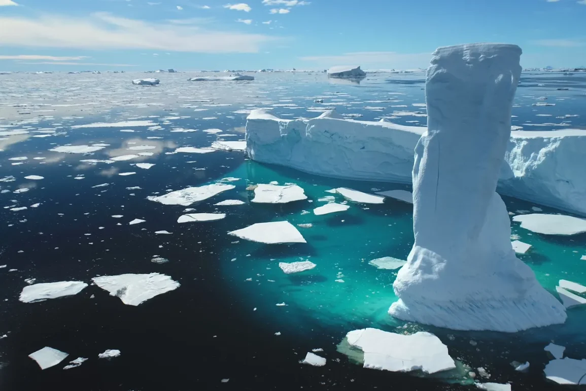 Arctic Tundra's Shift to Carbon Source Signals Urgent Need for Global Ecological Restoration Efforts