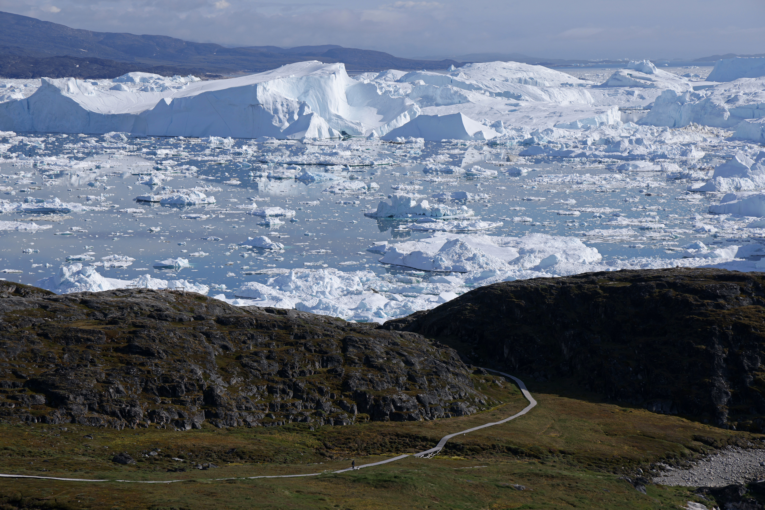 Arctic Tundra's Shift to Carbon Source Signals Urgent Need for Global Ecological Restoration Efforts