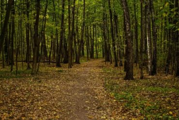 Hiking Trails Face Backlash Over Plastic Decorations Disrupting Natural Beauty and Ecosystems