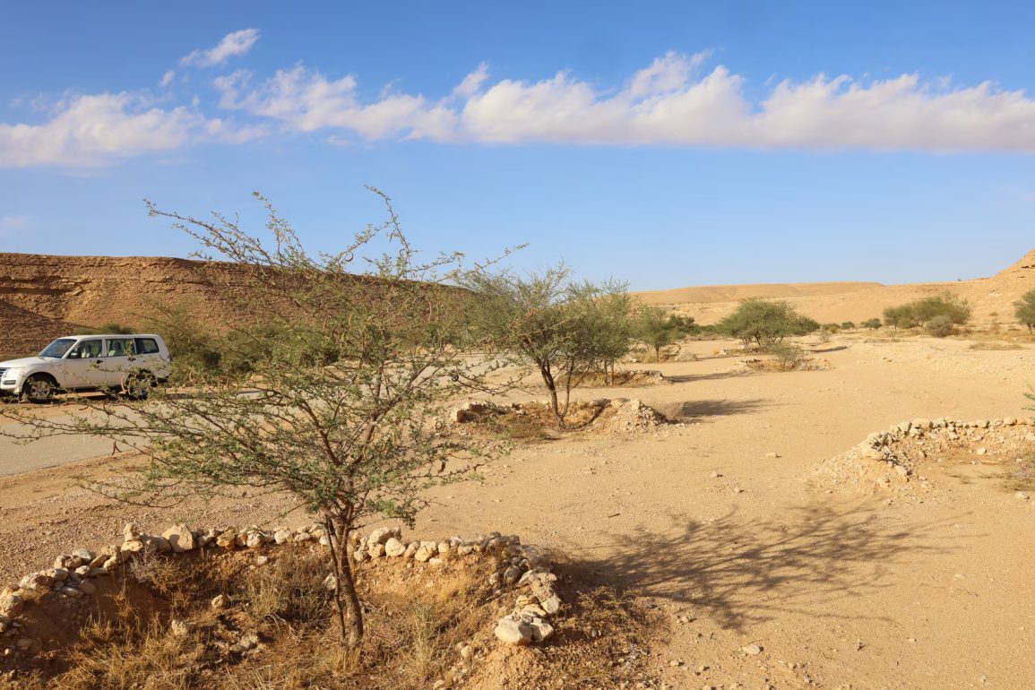 Land Degradation Threatens Climate, Biodiversity, and Food Security: Urgent Action Needed