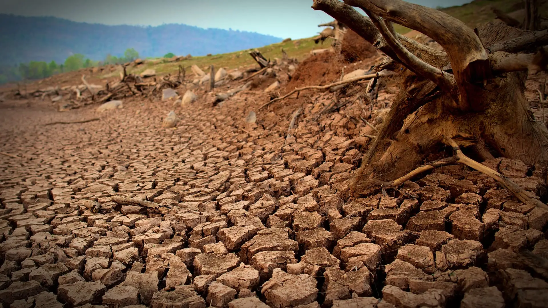 Land Degradation Threatens Climate, Biodiversity, and Food Security: Urgent Action Needed