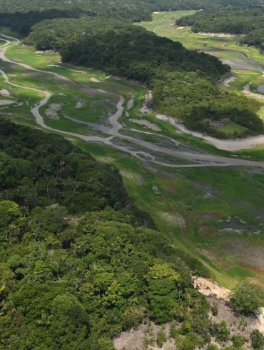 Pressure Mounts on Soy Moratorium as Brazil Considers Changes Amid Political Shifts and Agribusiness Influence