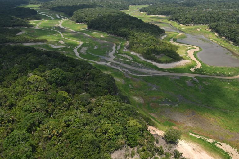 Pressure Mounts on Soy Moratorium as Brazil Considers Changes Amid Political Shifts and Agribusiness Influence