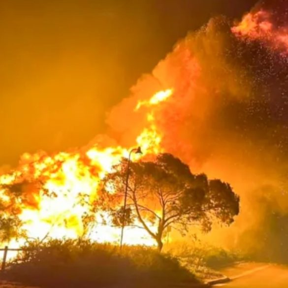 Record-Breaking Heat and Disasters in 2024 Highlight Spain’s Vulnerability to Climate Change Challenges