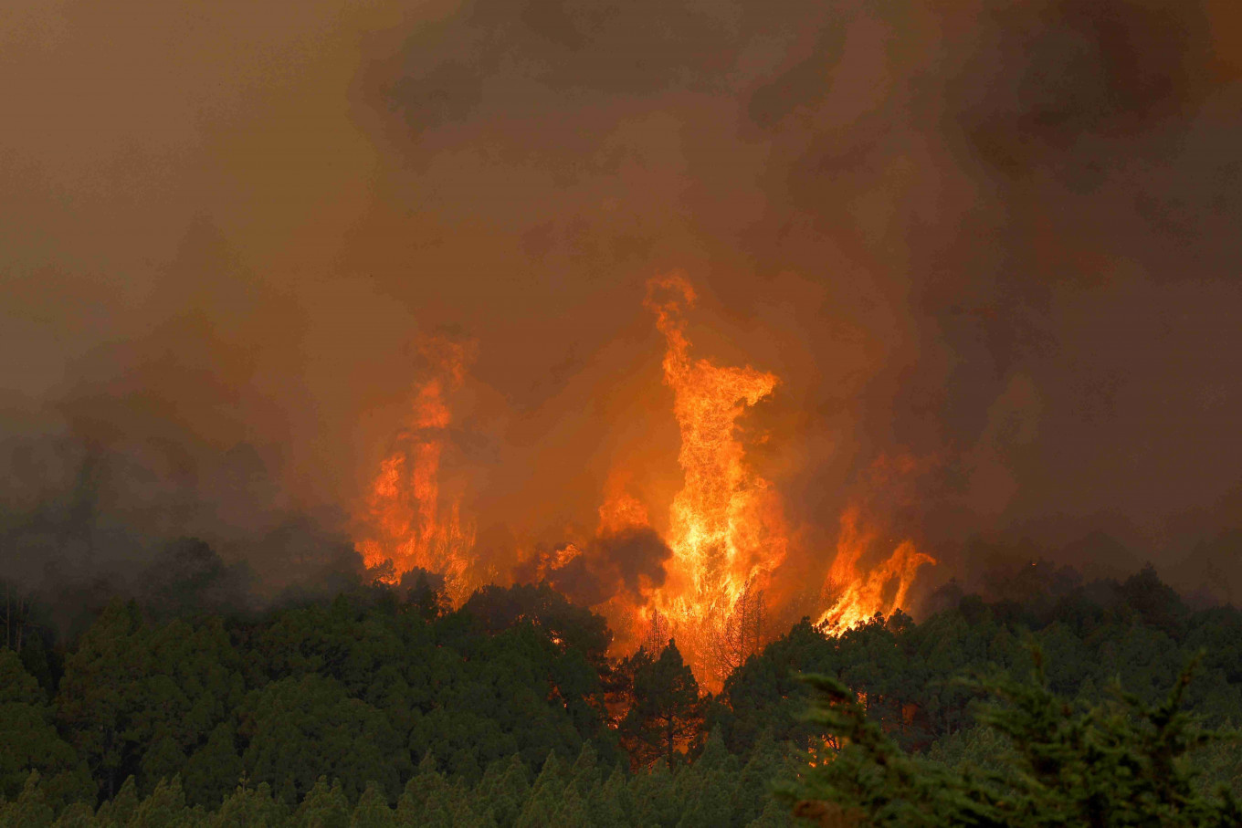 Record-Breaking Heat and Disasters in 2024 Highlight Spain’s Vulnerability to Climate Change Challenges