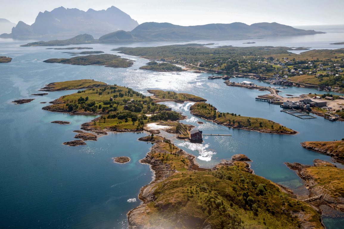 Whale Communication Disrupted by Growing Noise Pollution in Norway’s Vestfjorden, Warns Biologist Dr. Heike Vester