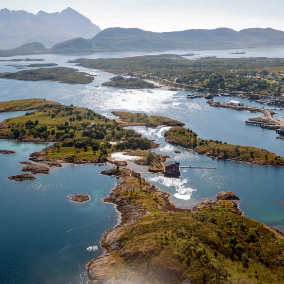 Whale Communication Disrupted by Growing Noise Pollution in Norway’s Vestfjorden, Warns Biologist Dr. Heike Vester